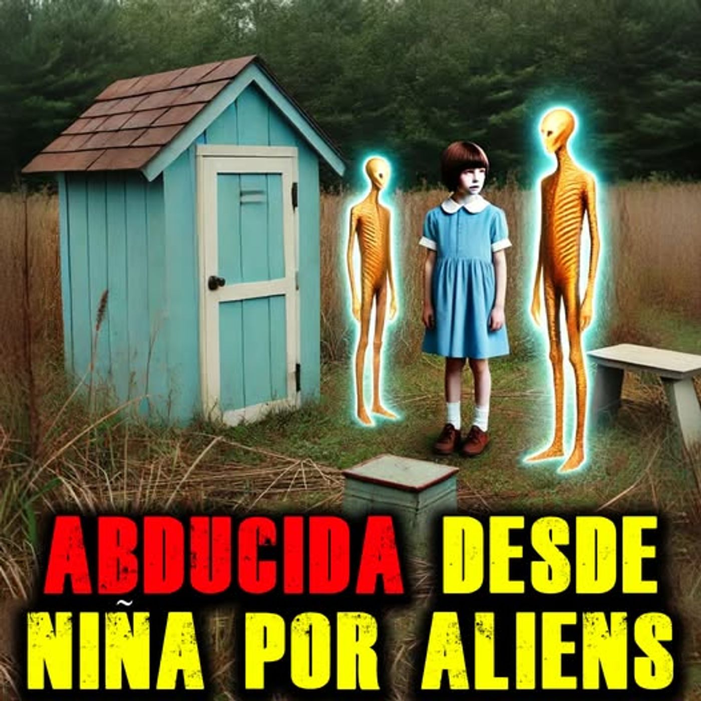 Secuestros ALIENS y Encuentros PARANORMALES: Los SECRETOS de Kim
