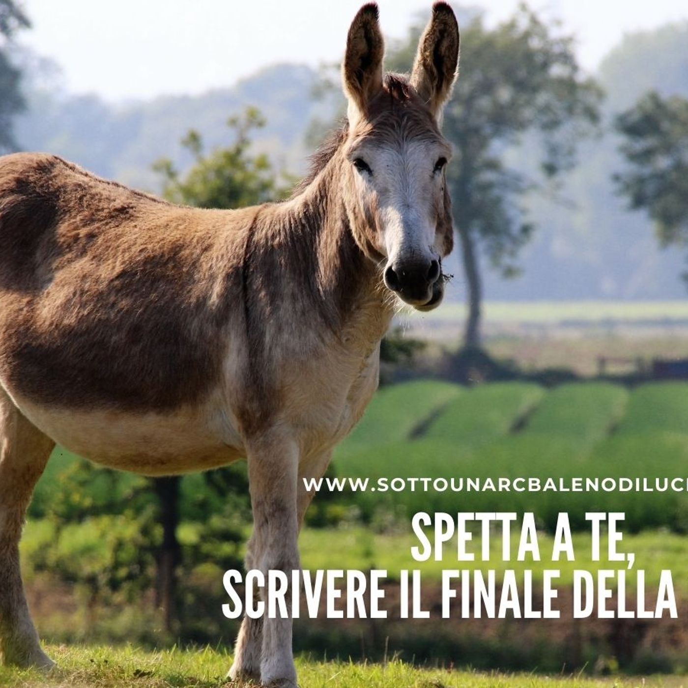 Fiabe e Favole per crescere