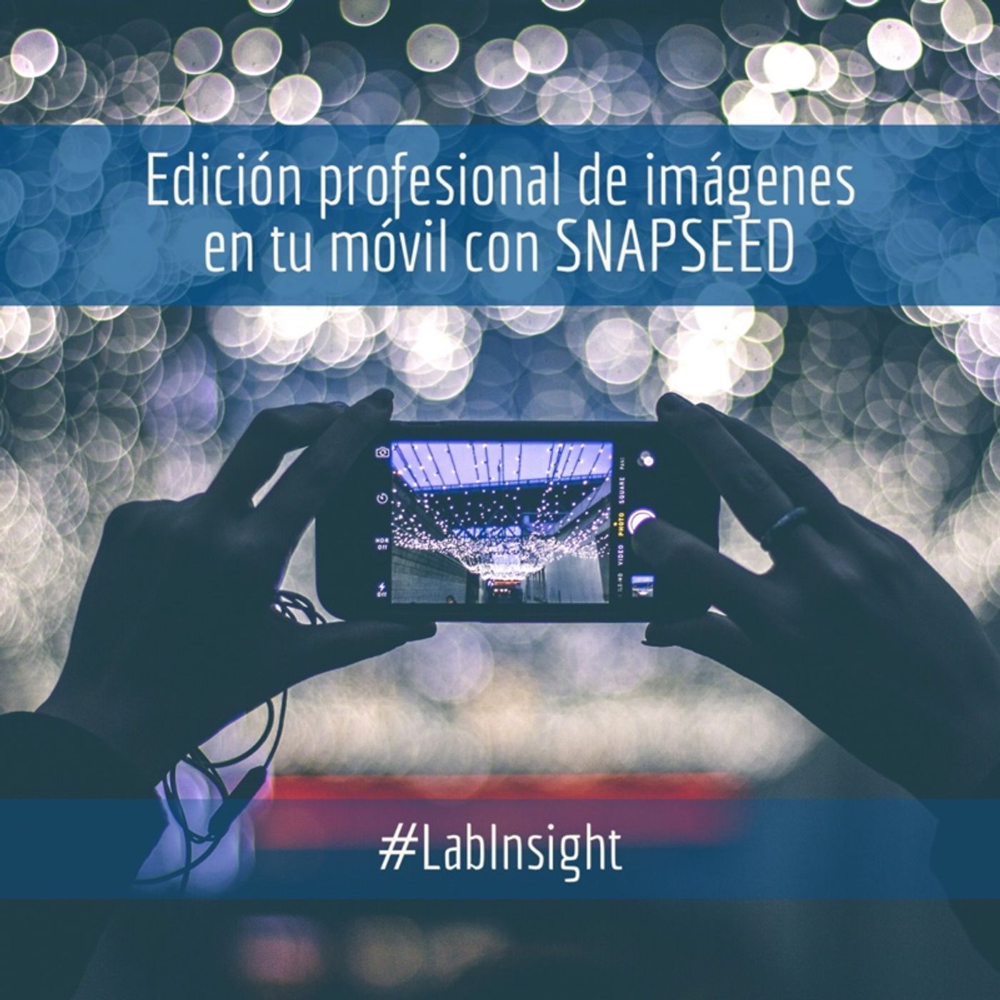 LabInsight