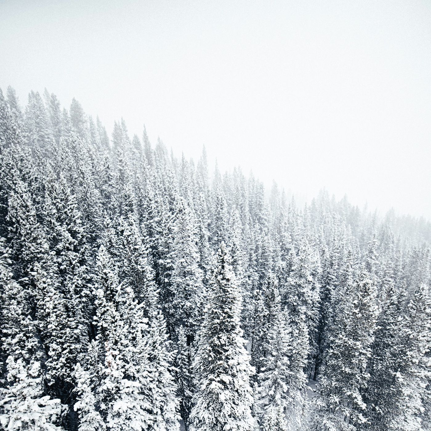 Audio sobre el contexto laboral y aceler