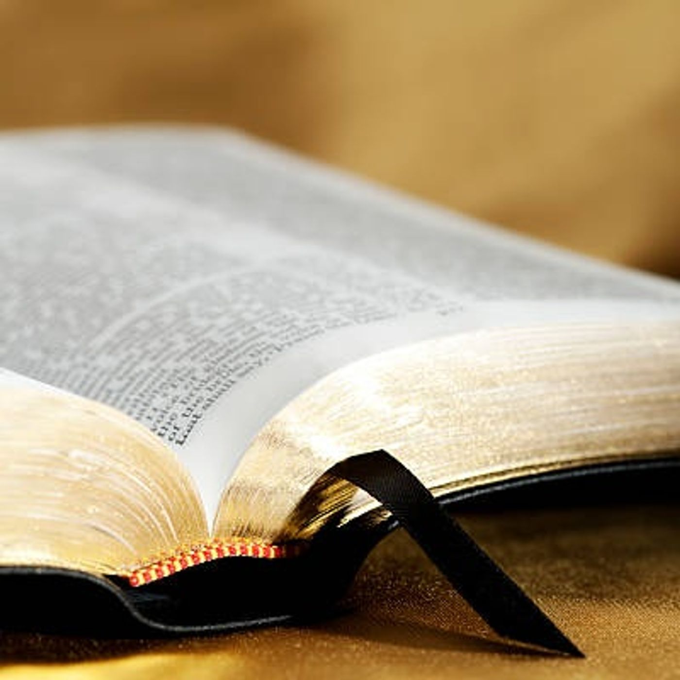 Meditazione Biblica