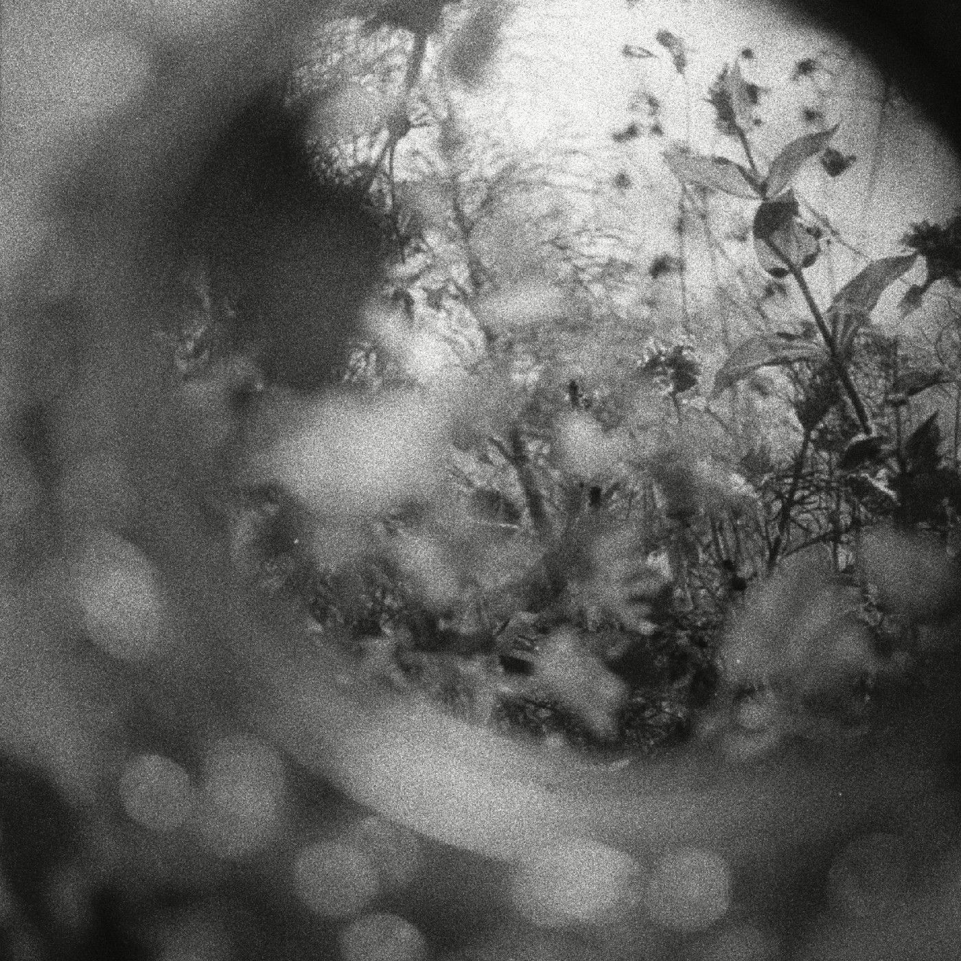 AUDIO INGLÉS FICHA 3186163