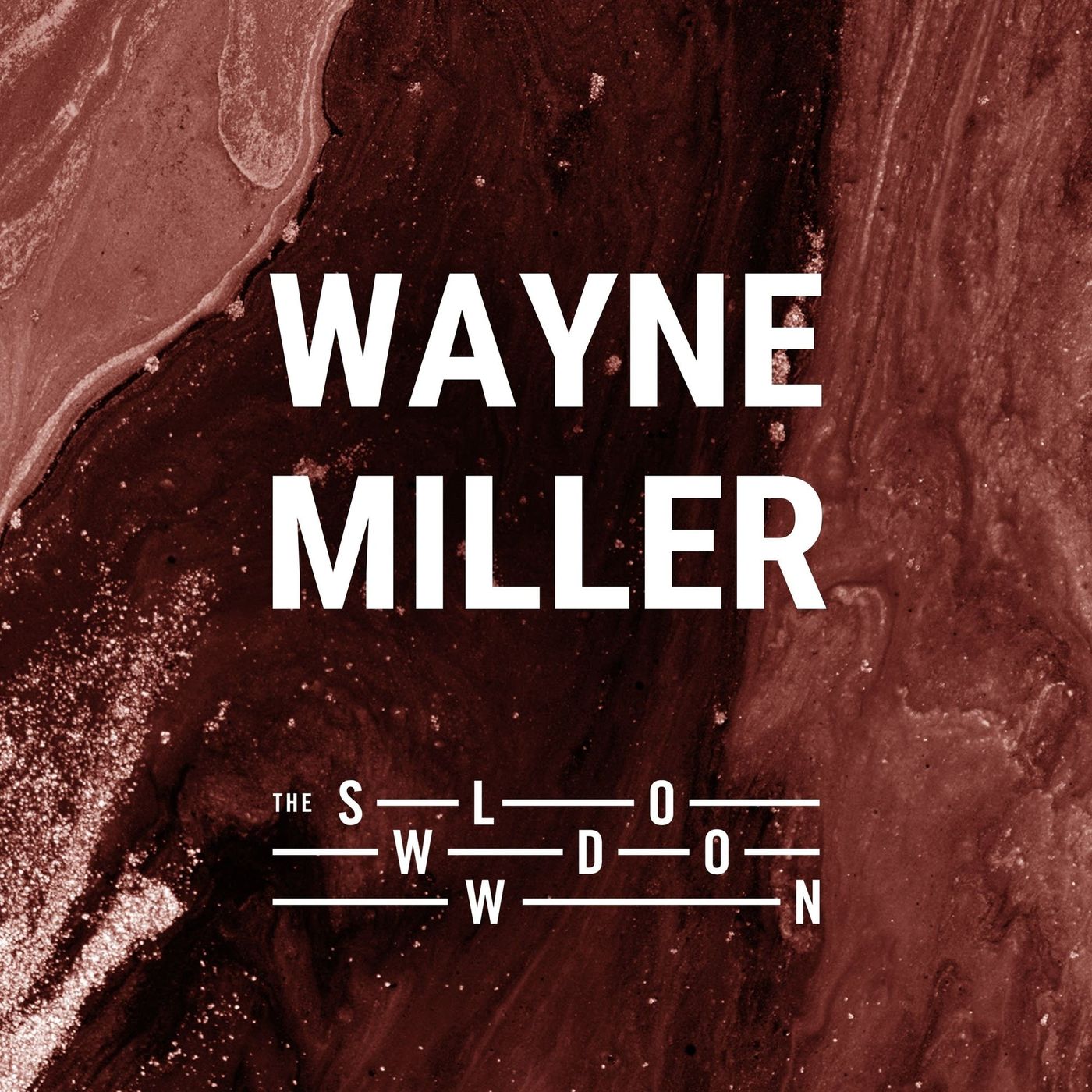 1508: Portrait of the Artist as a Young Man by Wayne Miller episode artwork