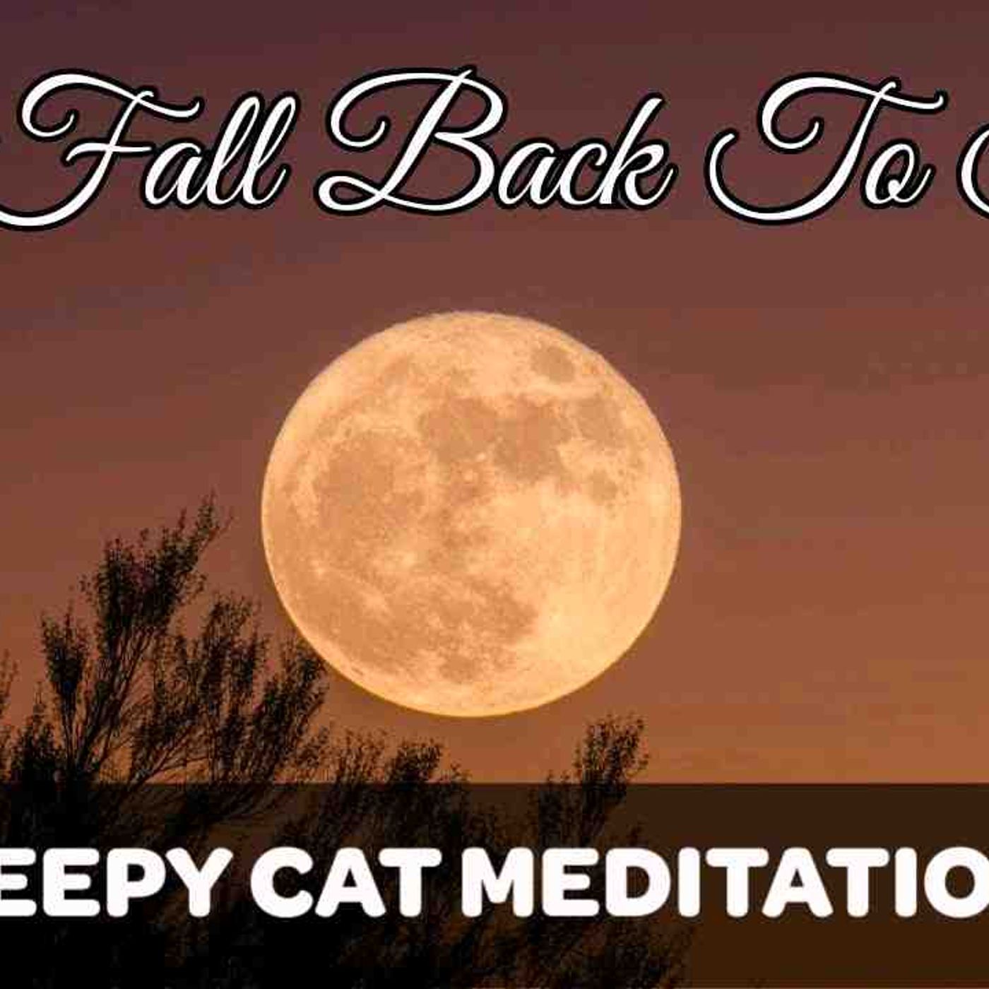 Fall Back To Sleep (Guided Meditation For Rest _ Recovery)
