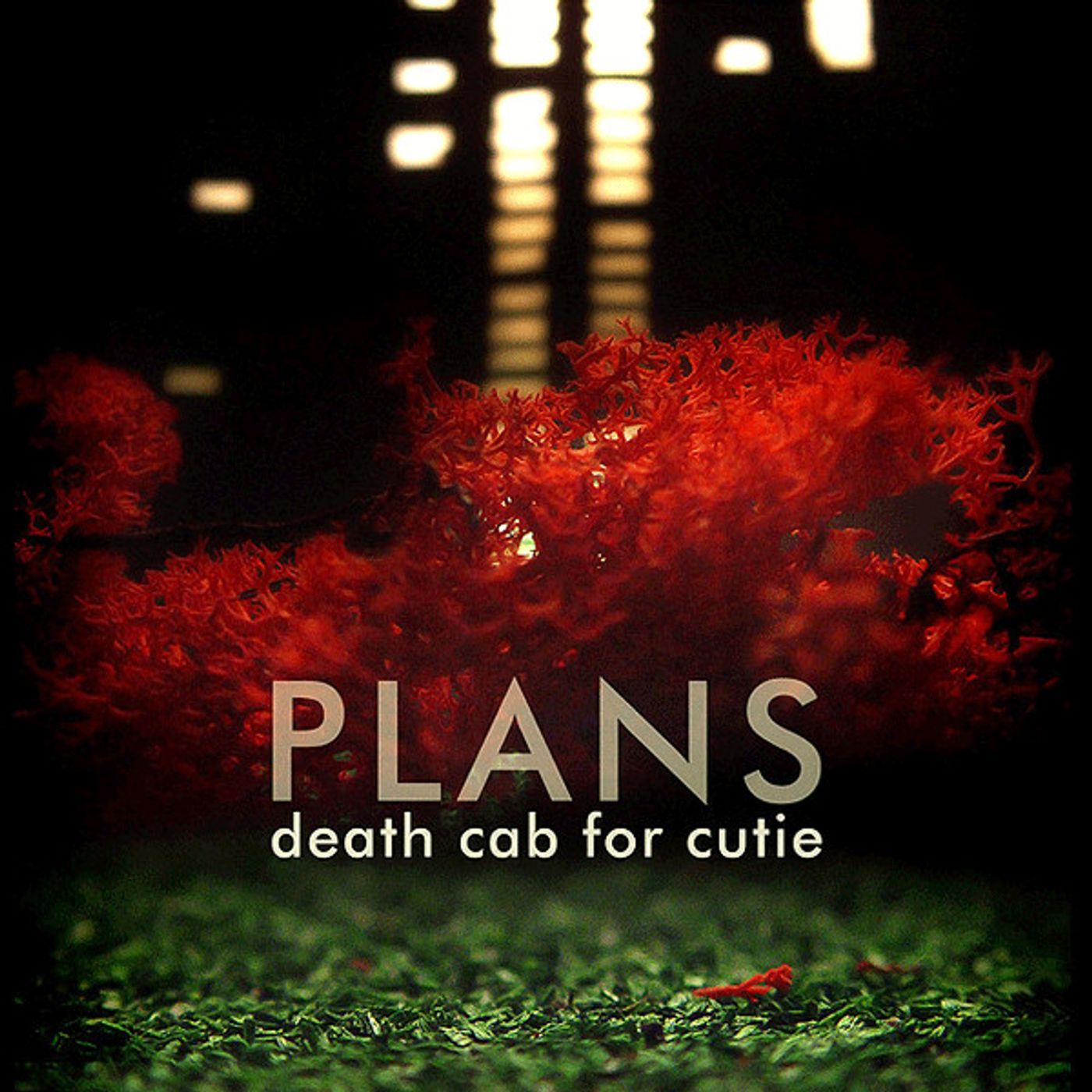 Kicking Back with Death Cab episode artwork