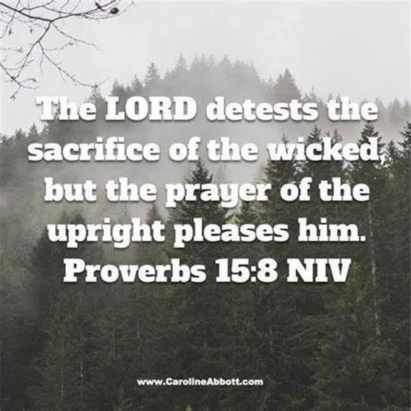 The Sacrifice Of The Wicked & The Prayer Of The Upright (Part 4) - S29 [B428] episode artwork