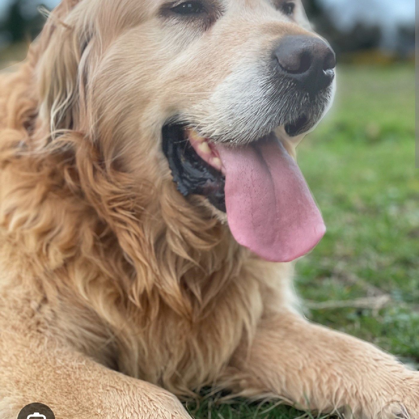 El podcast de gabriela romero