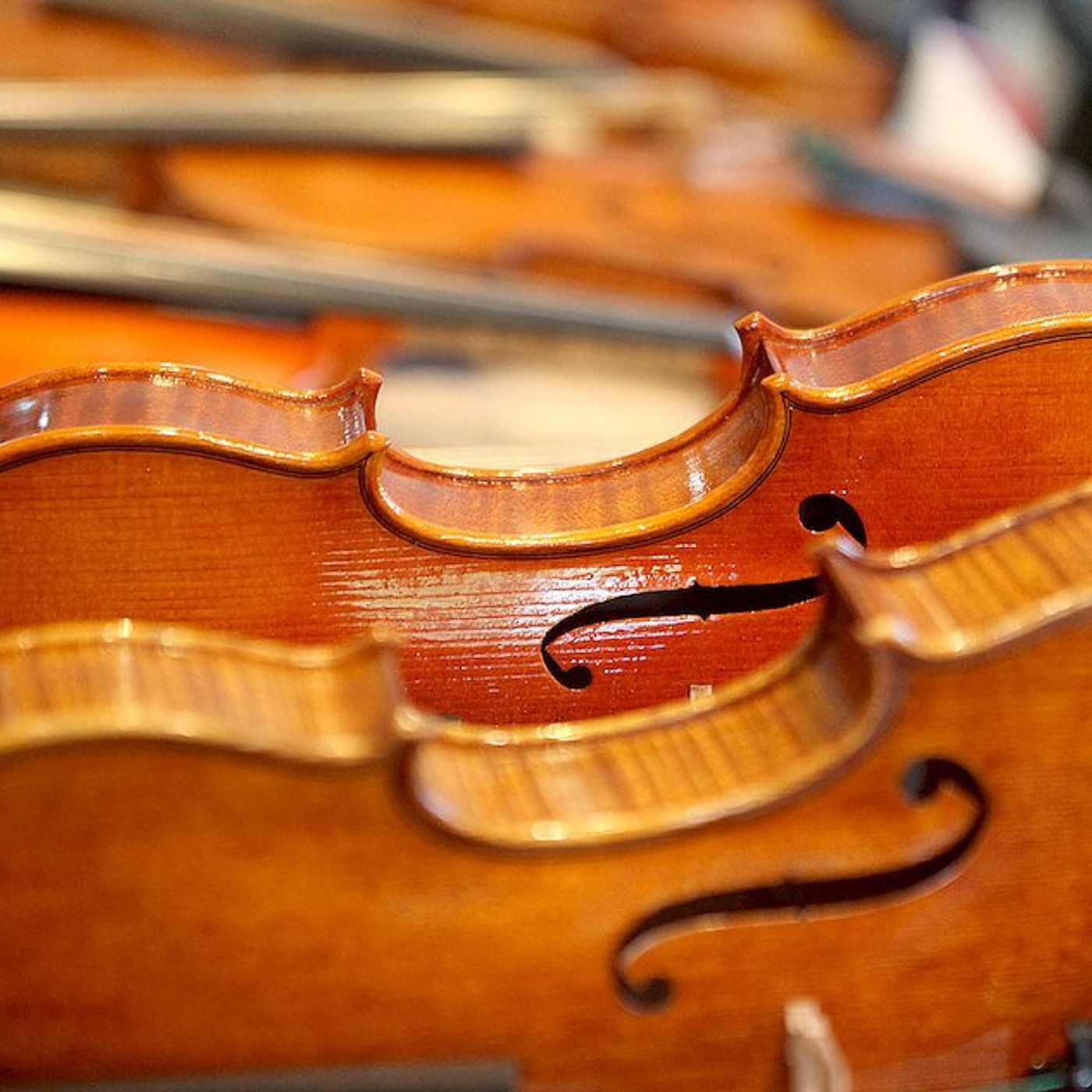 Cardinal String quartet to perform Dec. 7 in DeKalb episode artwork