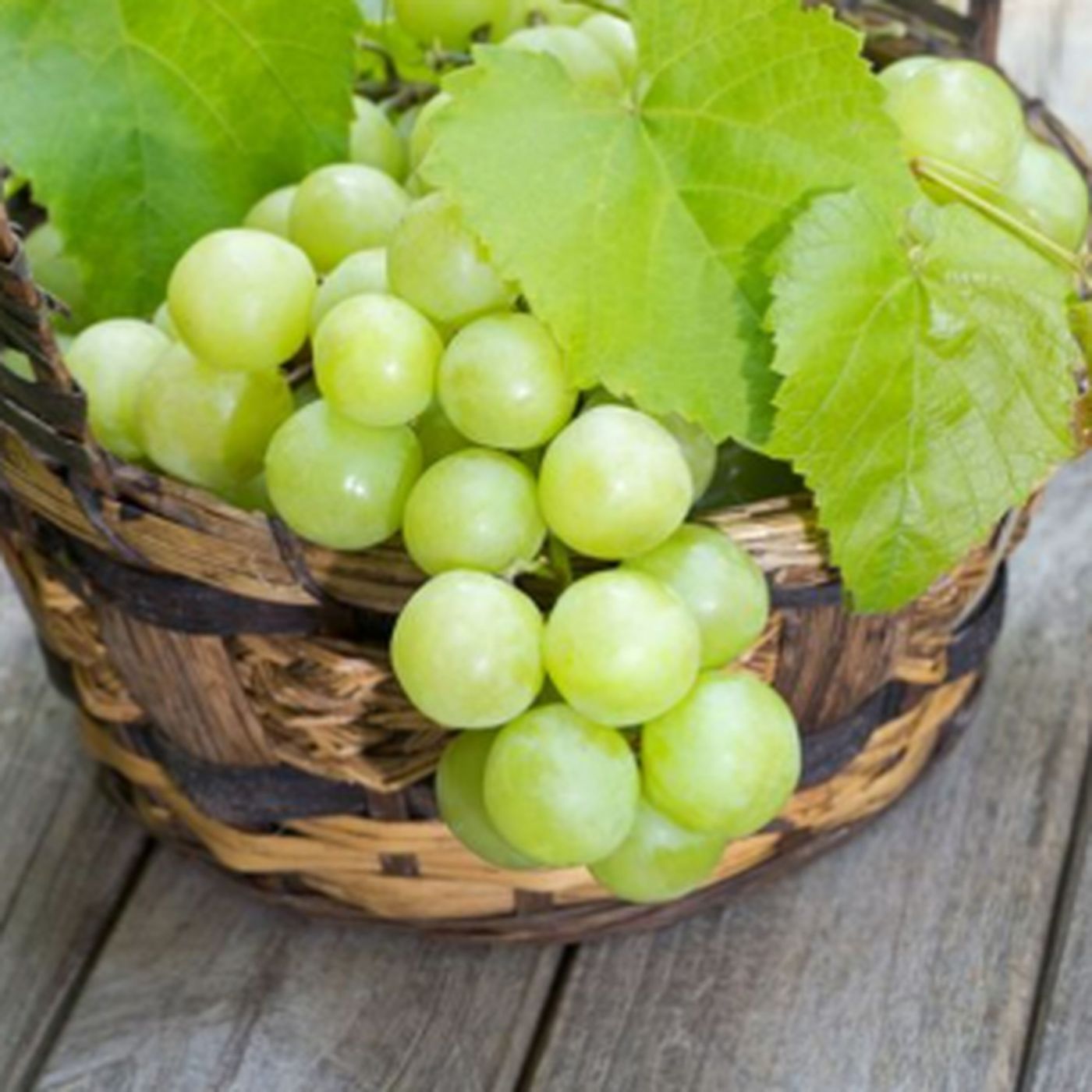 Unlocking The Secrets of Chardonnay Grapes: Characteristics and Color Explained episode artwork