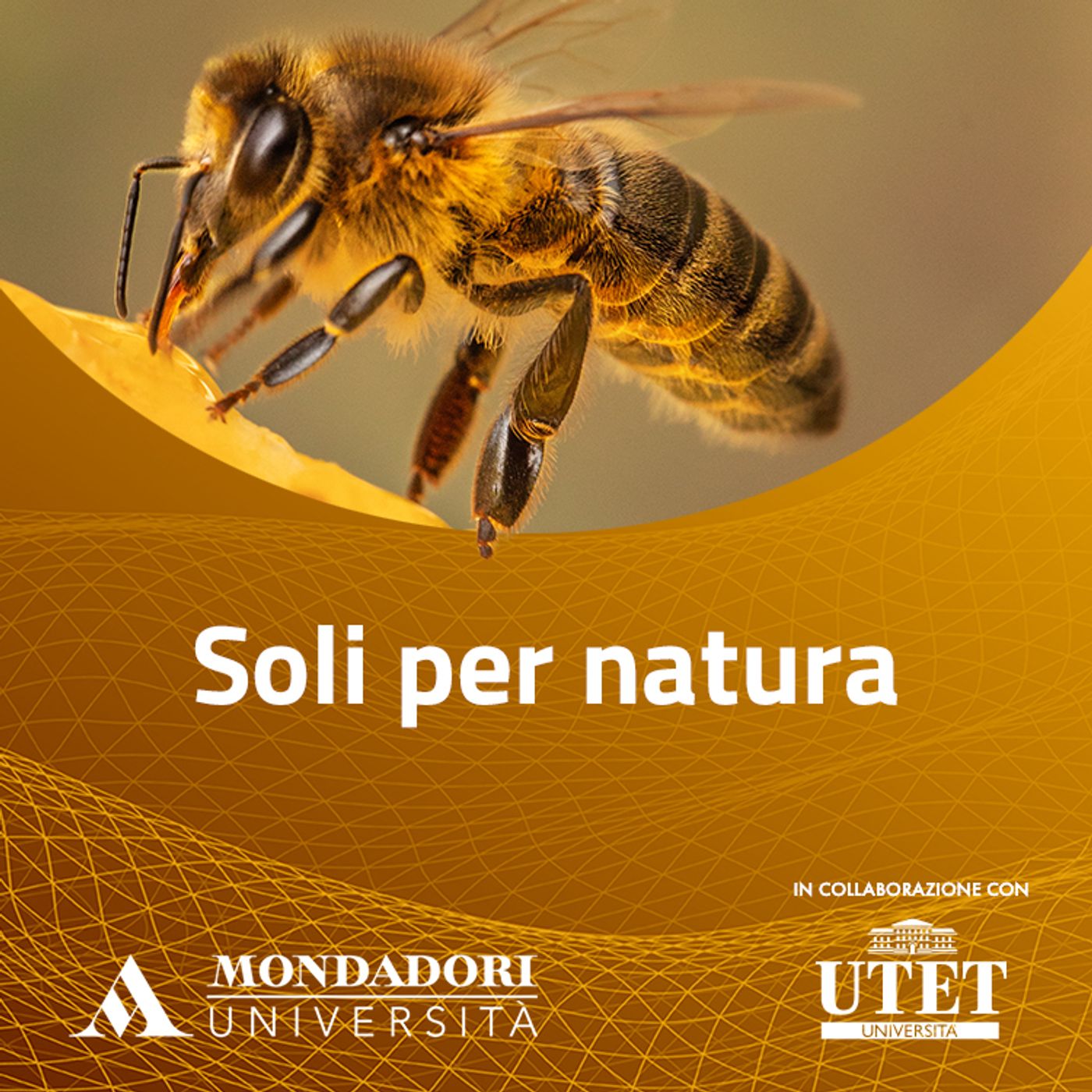 Soli per natura