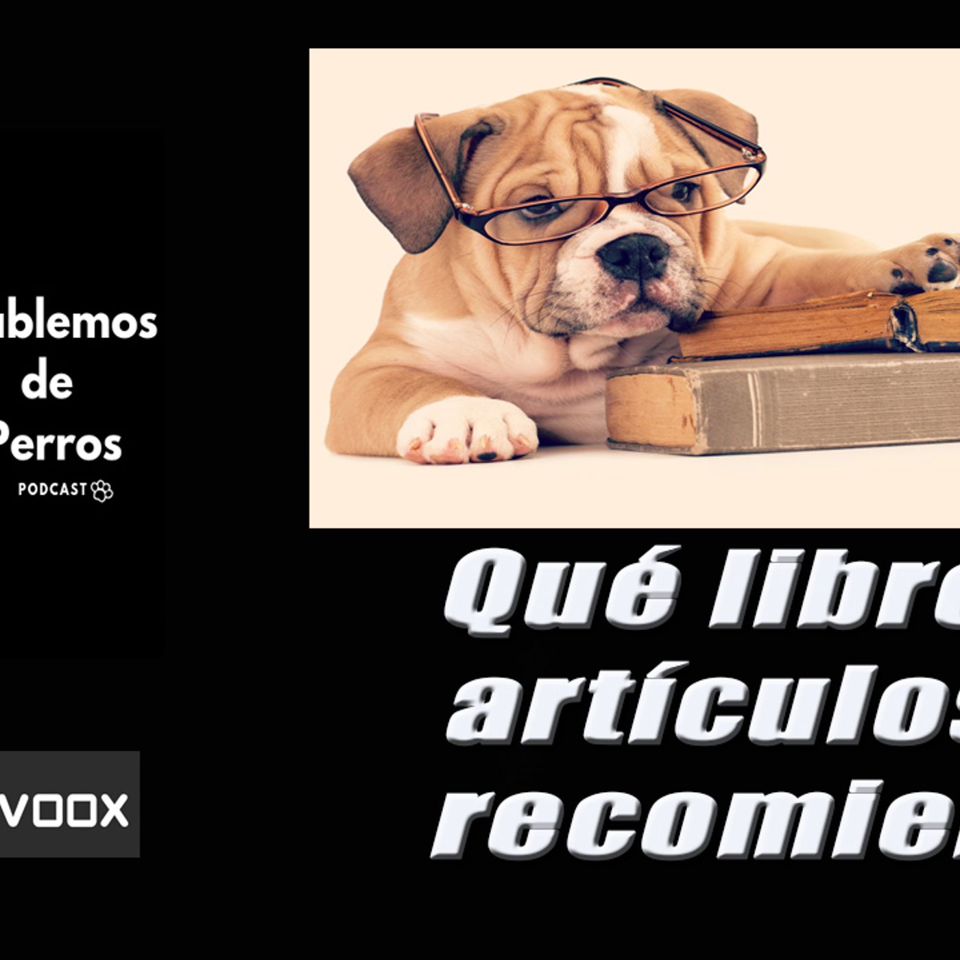 Hablemos de perros