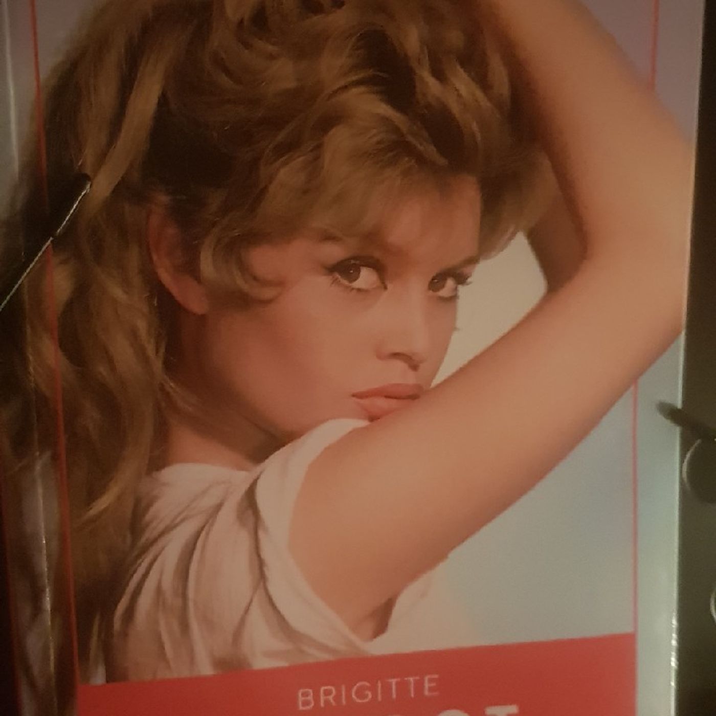 Icone : Brigitte Bardot  - BB