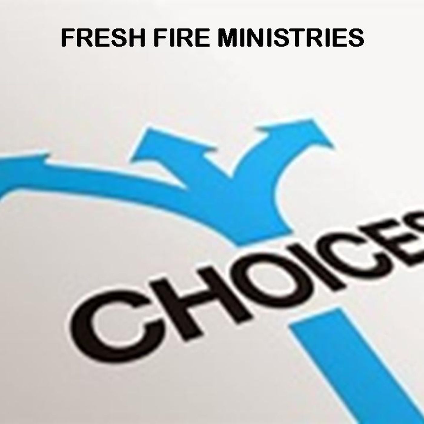 The Choices We Make episode artwork