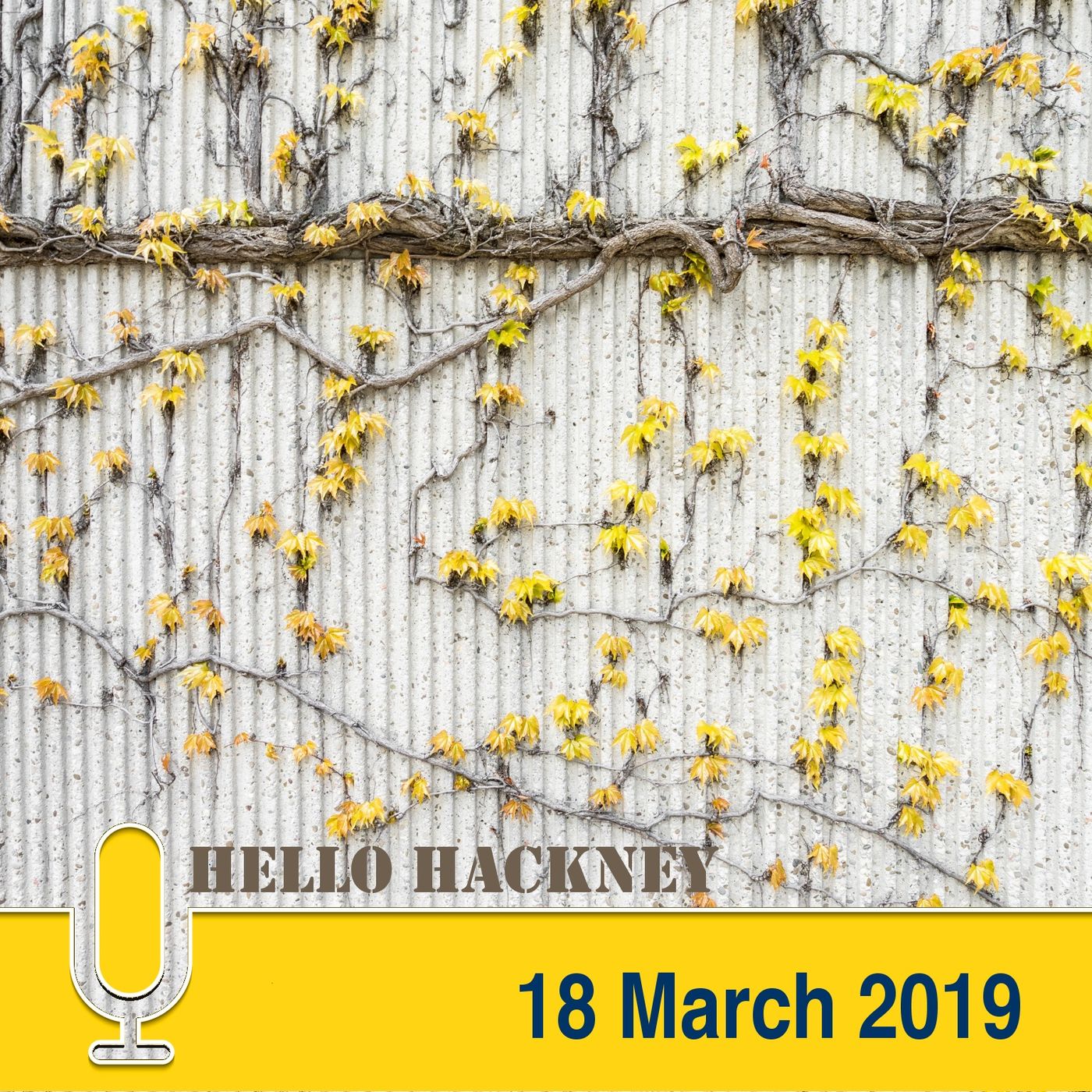 Hello Hackney