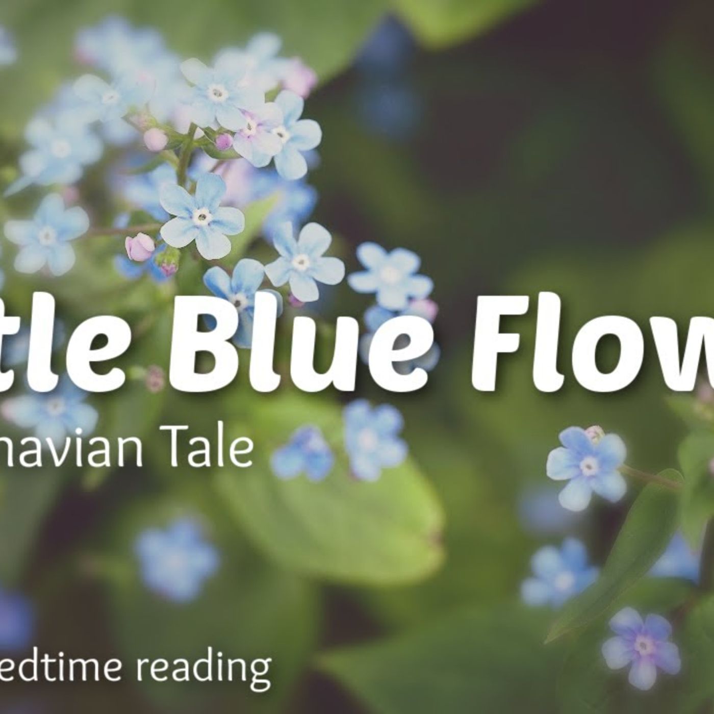 LITTLE BLUE FLOWER - A Scandinavian Fairytale / Soothing Storytelling that is Restful & Calming
