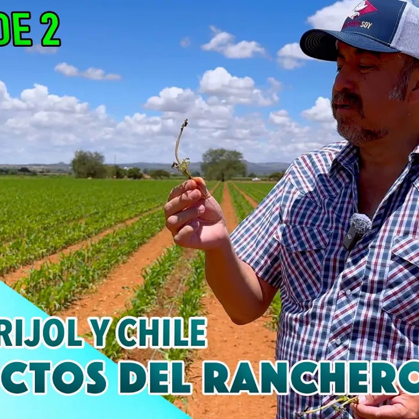 ASÍ ES EL TRABAJO DEL CAMPESINO produciendo bajo el sol