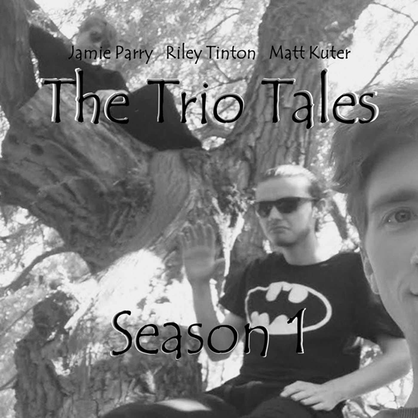 TALES OF AN IDIOT