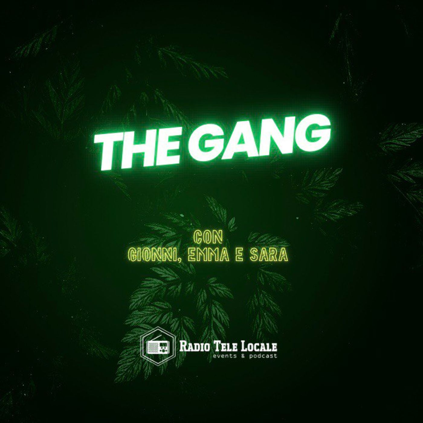 THE GANG