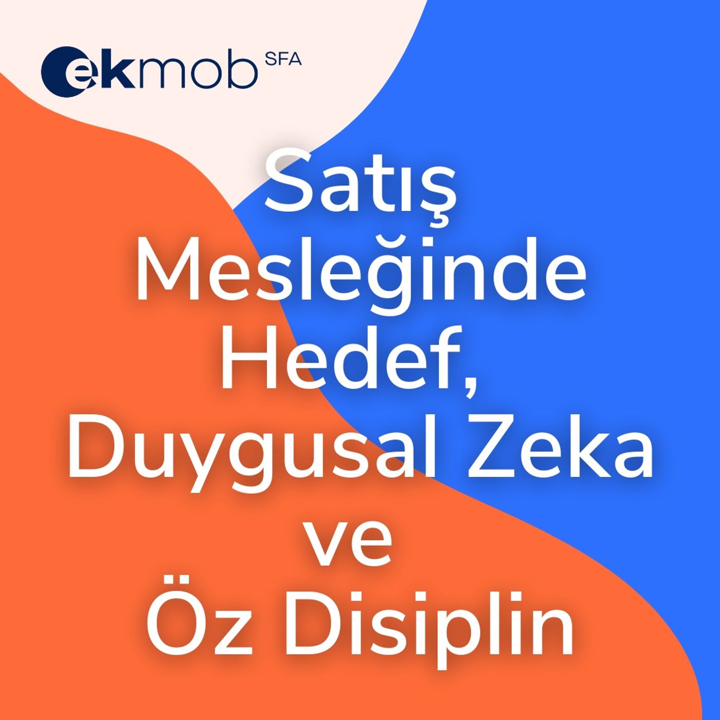 Satış Ekibi Yönetimi