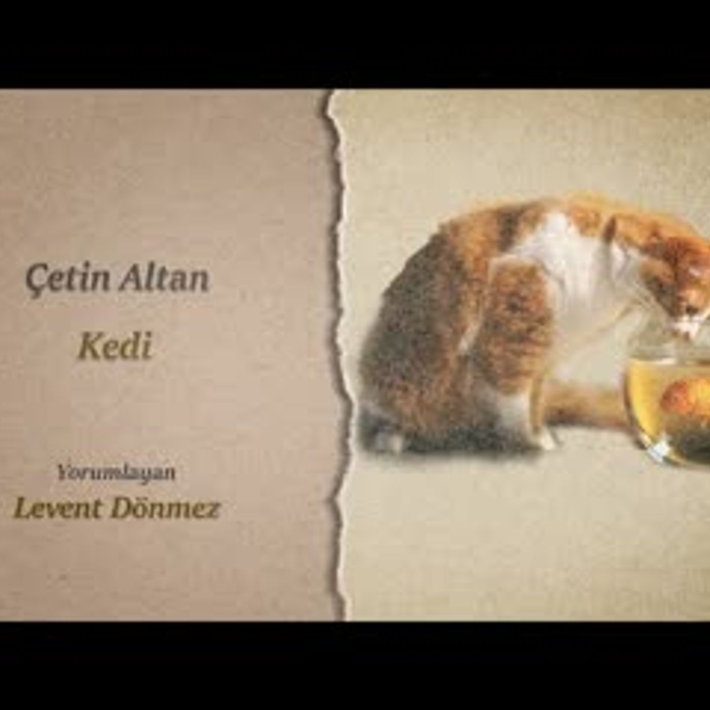 Çetin Altan - Kedi episode artwork