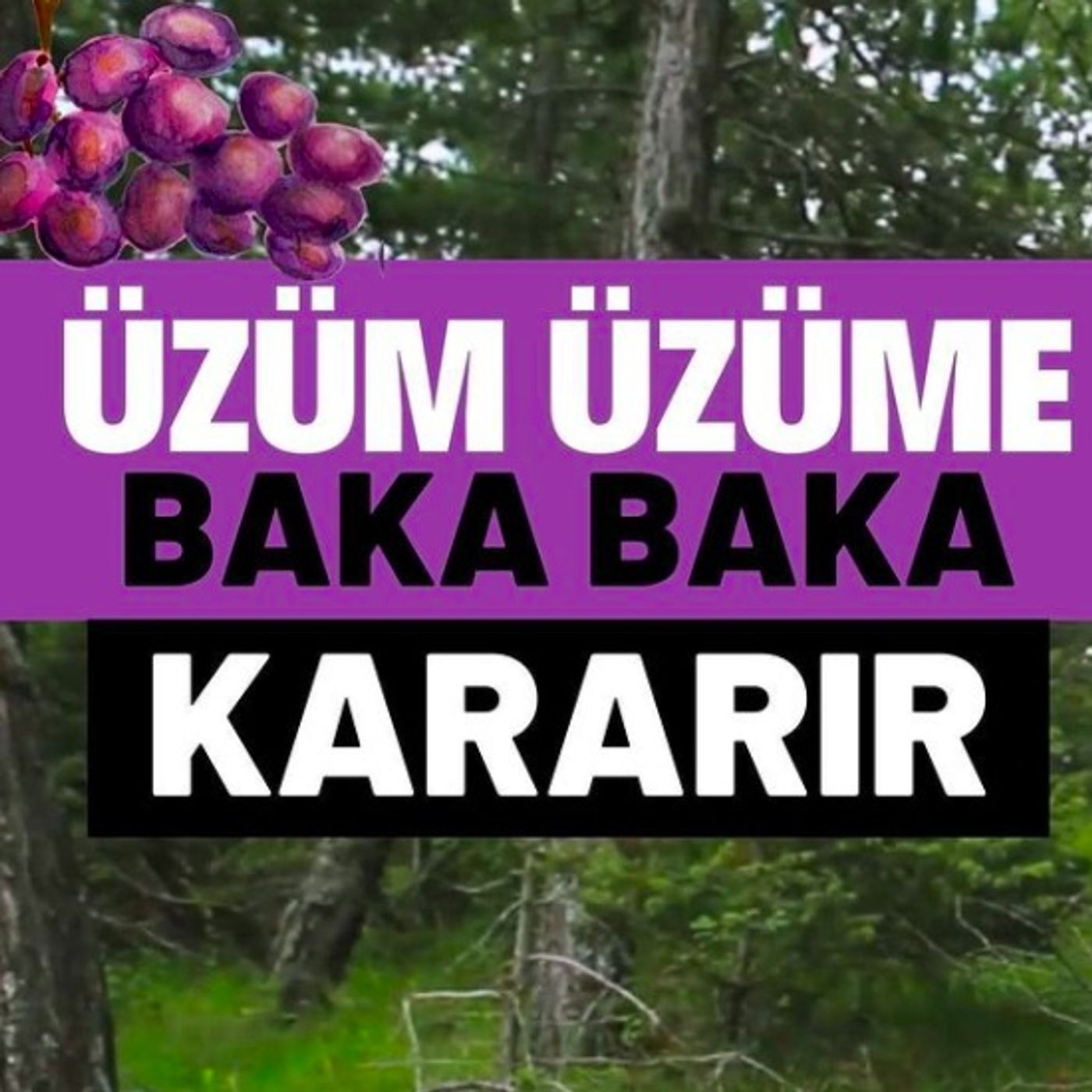Mutlu Olmak İçin Yapmanız Gereken 10 Şey
