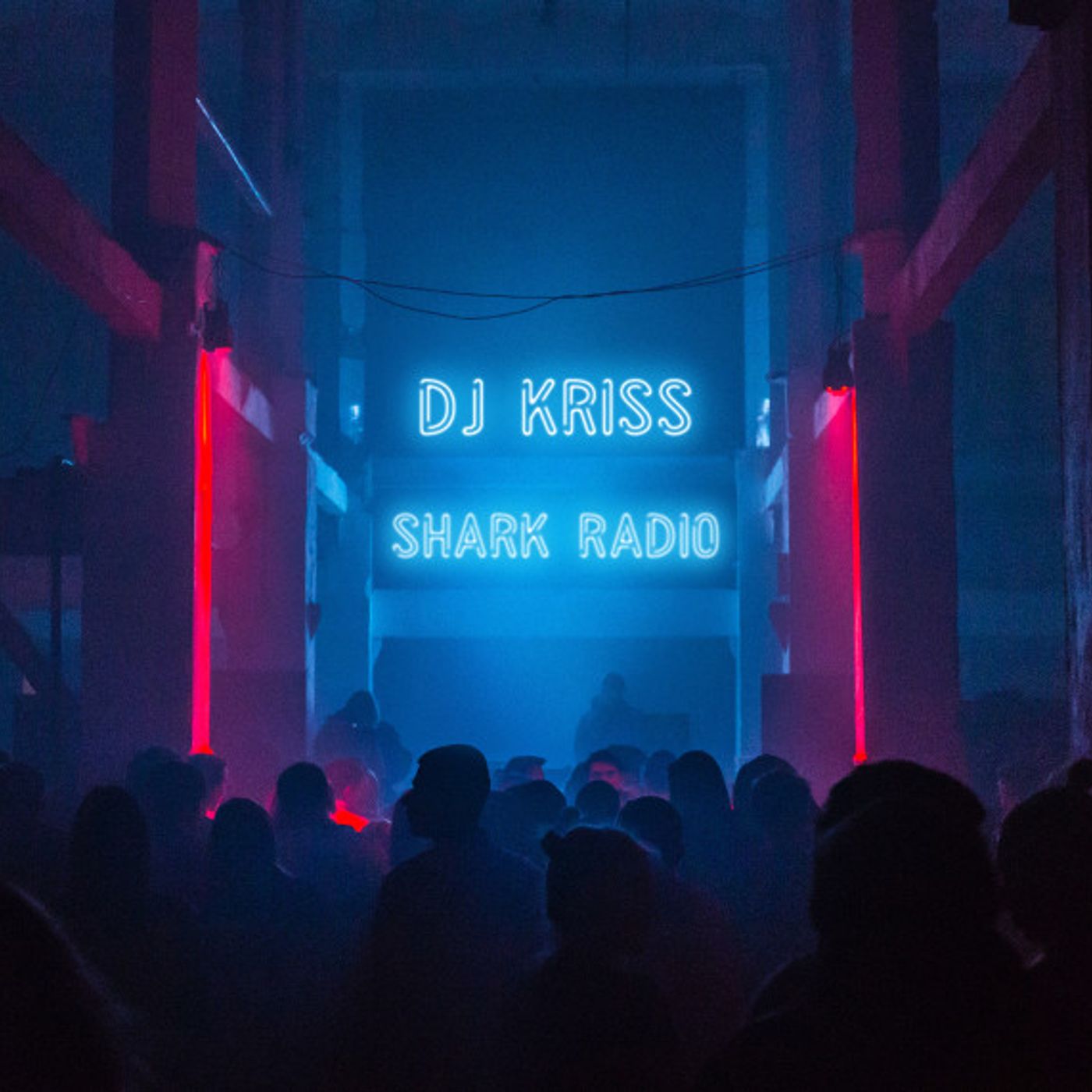 DJ Kriss - My EDM Style vol.2 episode artwork
