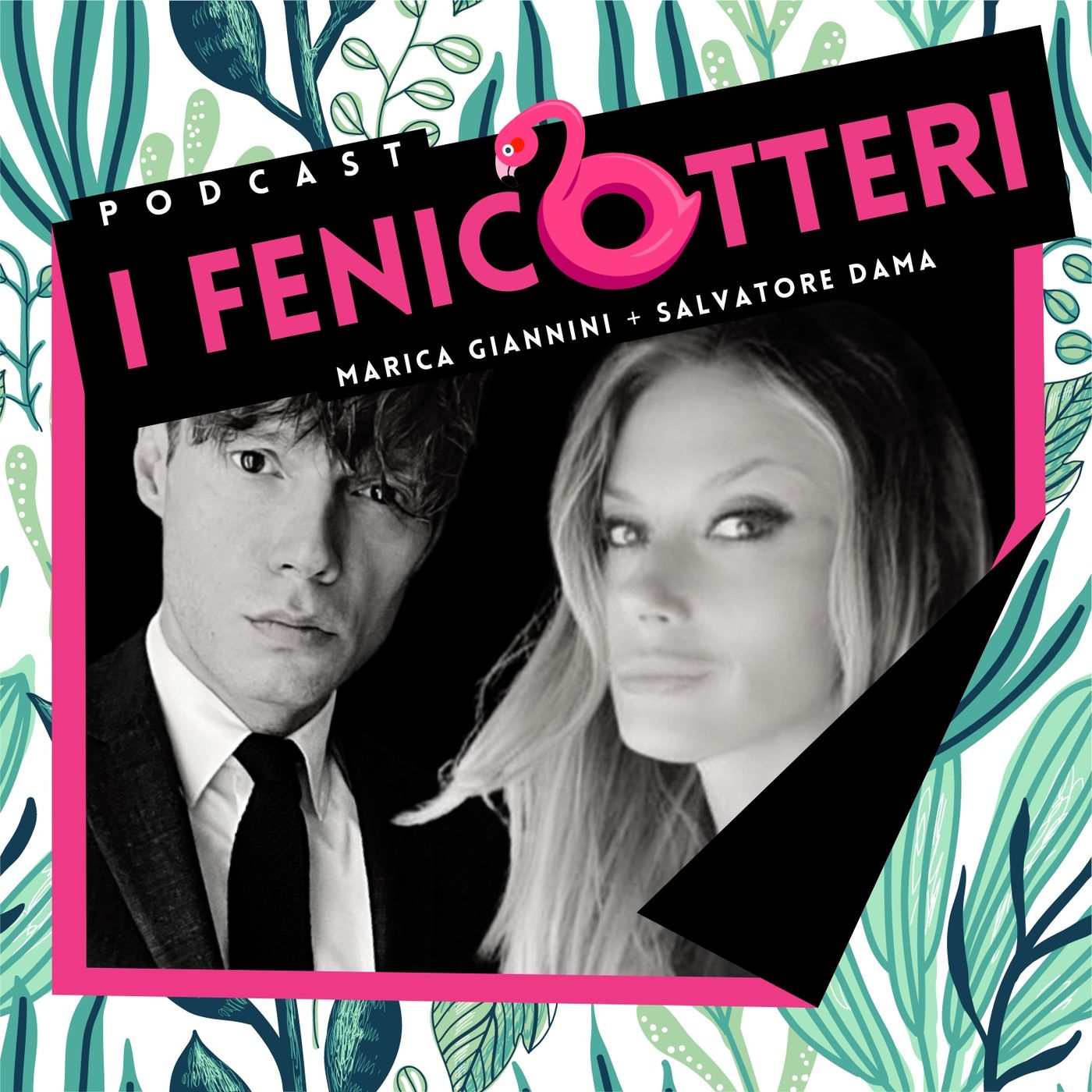 I fenicotteri