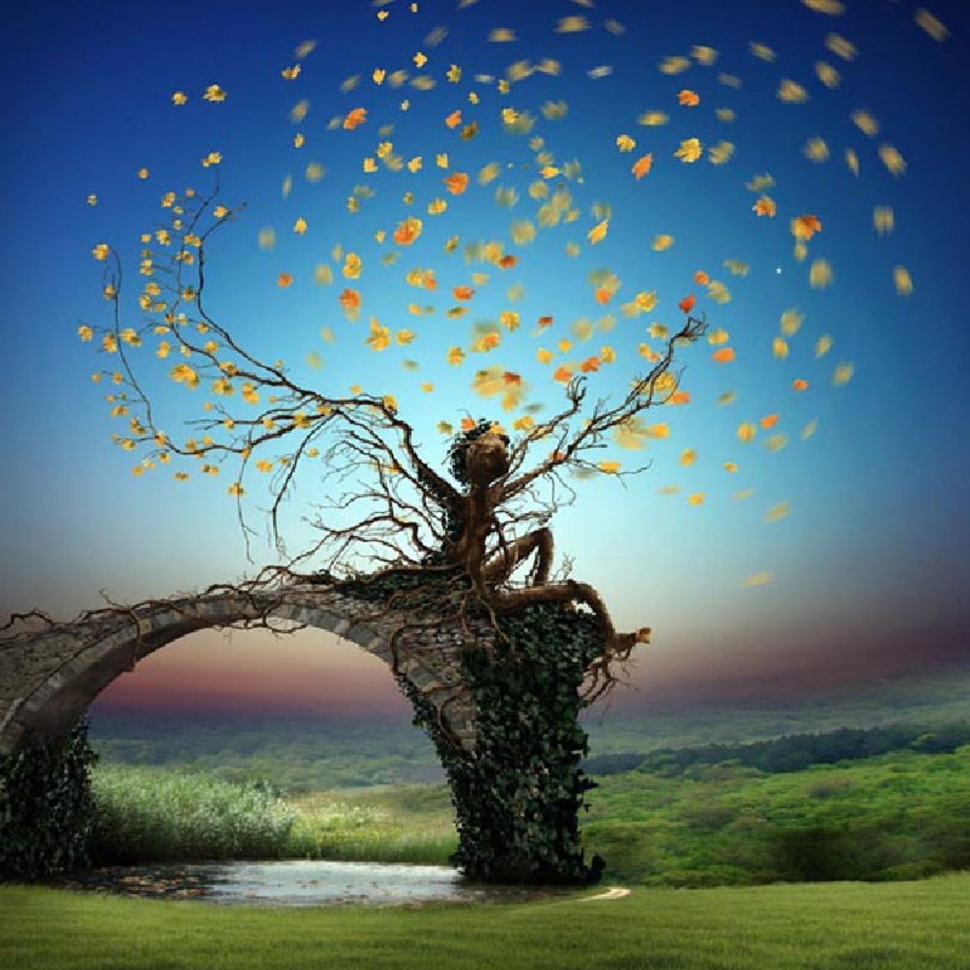 Debbie Kush\'s podcast