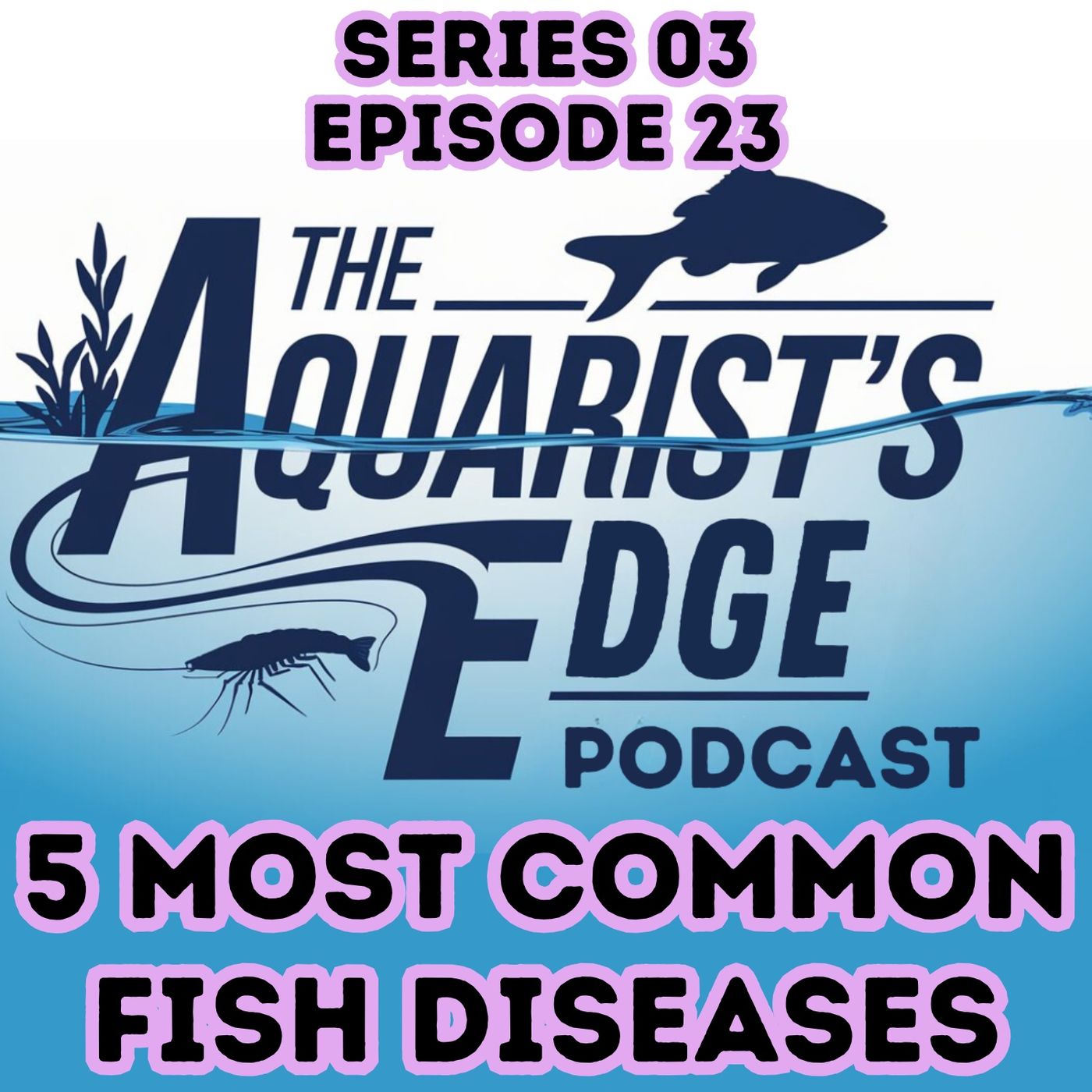 5 Most Common Fish Diseases and How To Treat Them