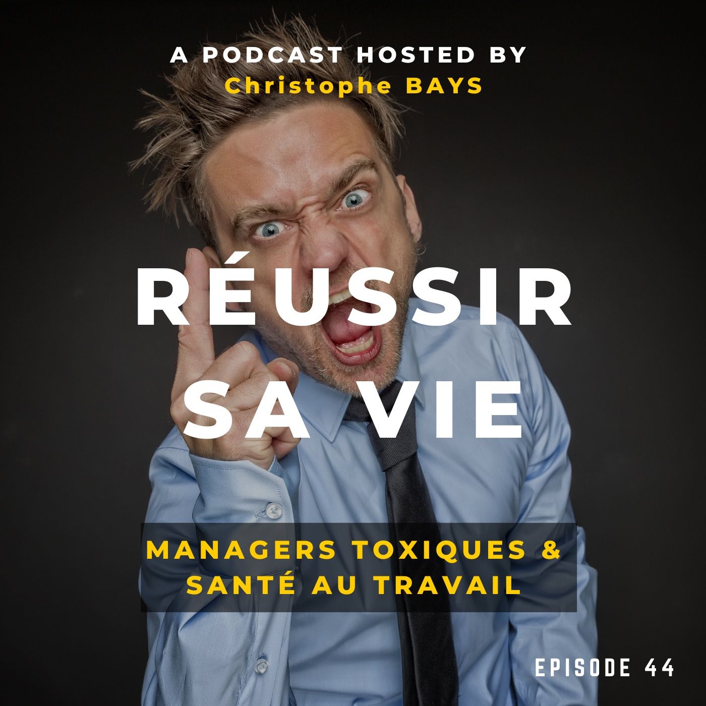 Managers toxiques et santé au travail