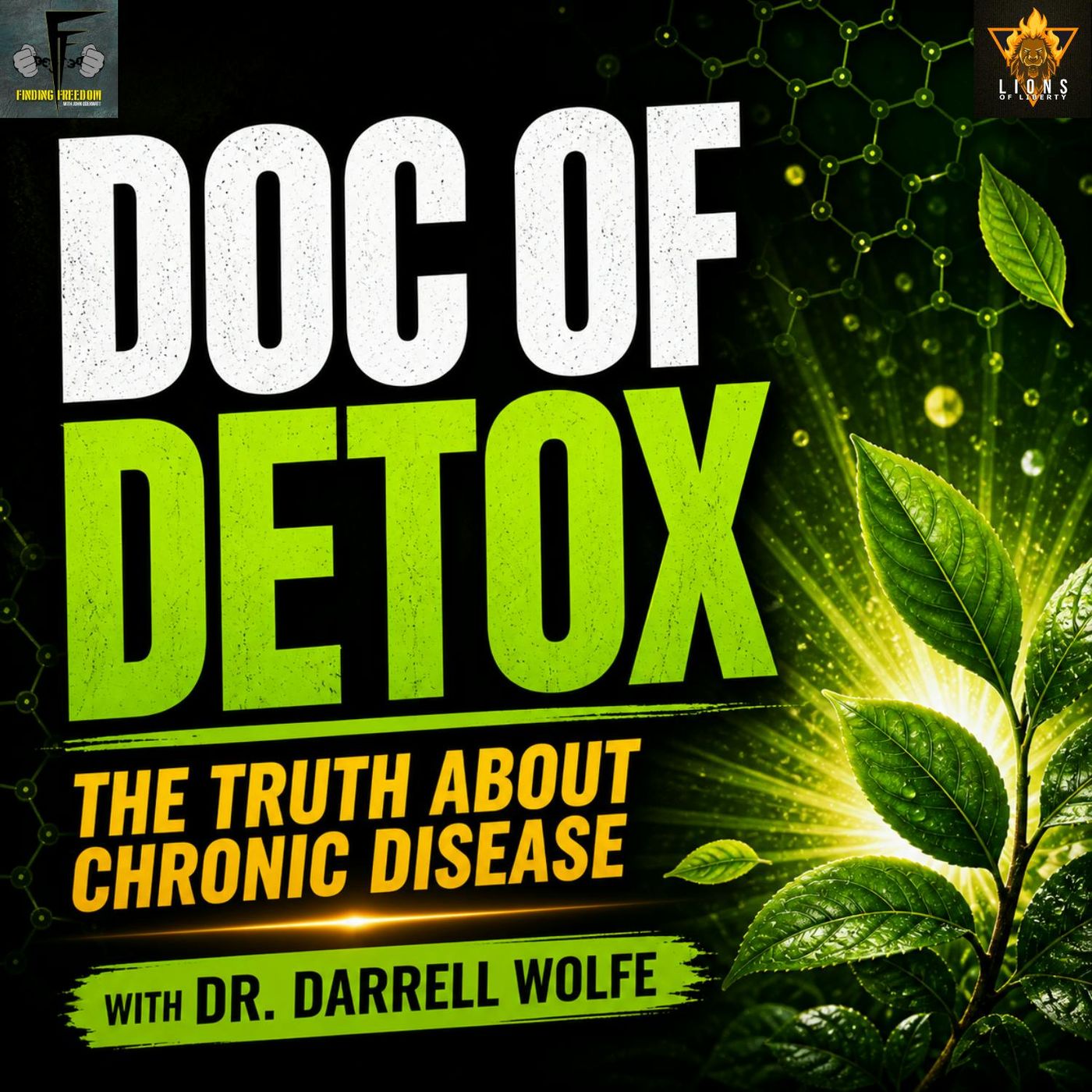 FF: The Truth About Chronic Disease with Dr. Darrell Wolfe episode artwork