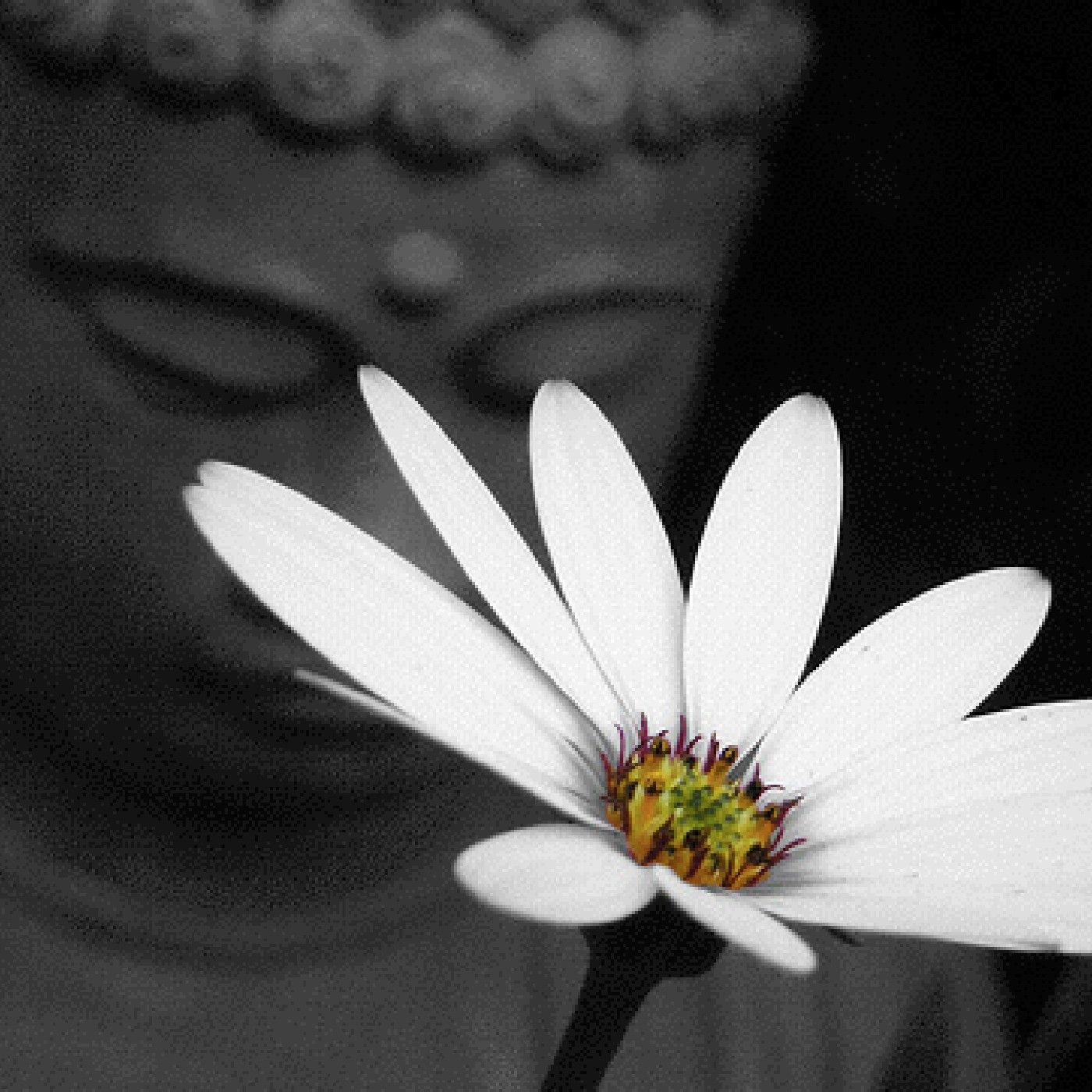 Il podcast di Francesco Corrado