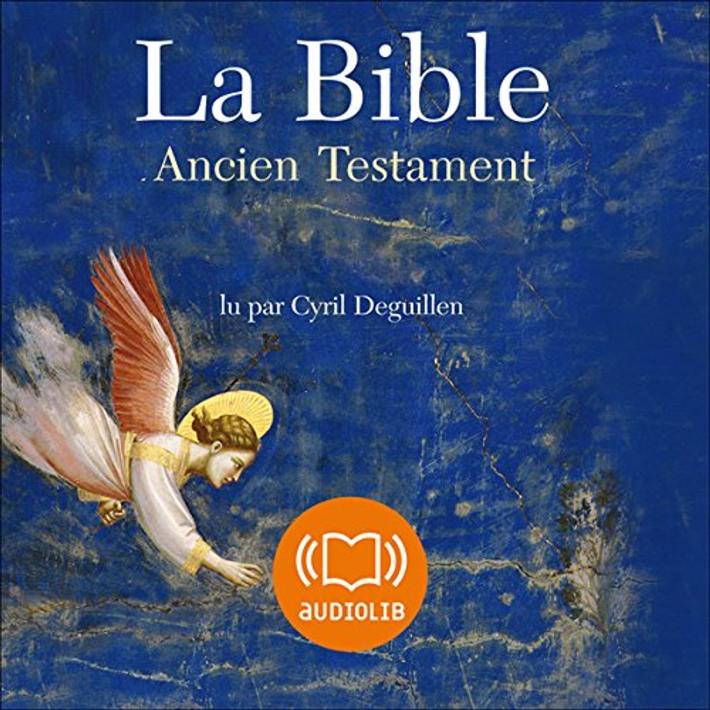 La Bible - Ancien Testament - Volume III, Les Prophètes 2, Livres prophétiques Livre Audio episode artwork