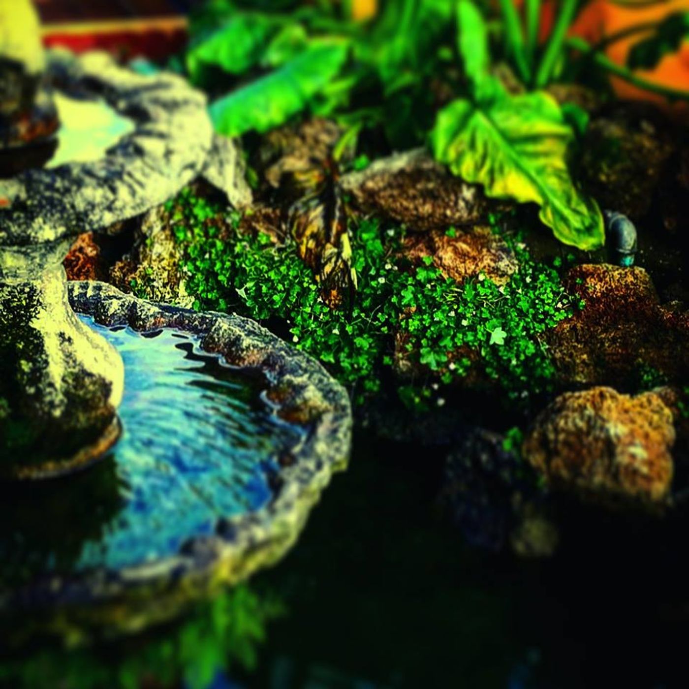 Lo show di ParadisoDelleTartaReal