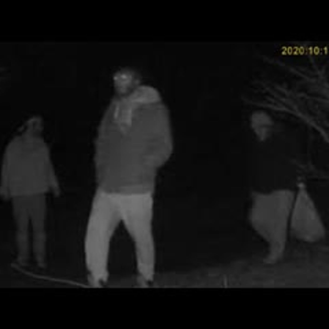 6 Most Disturbing Forest Encounters Caught on Camera (1) episode artwork