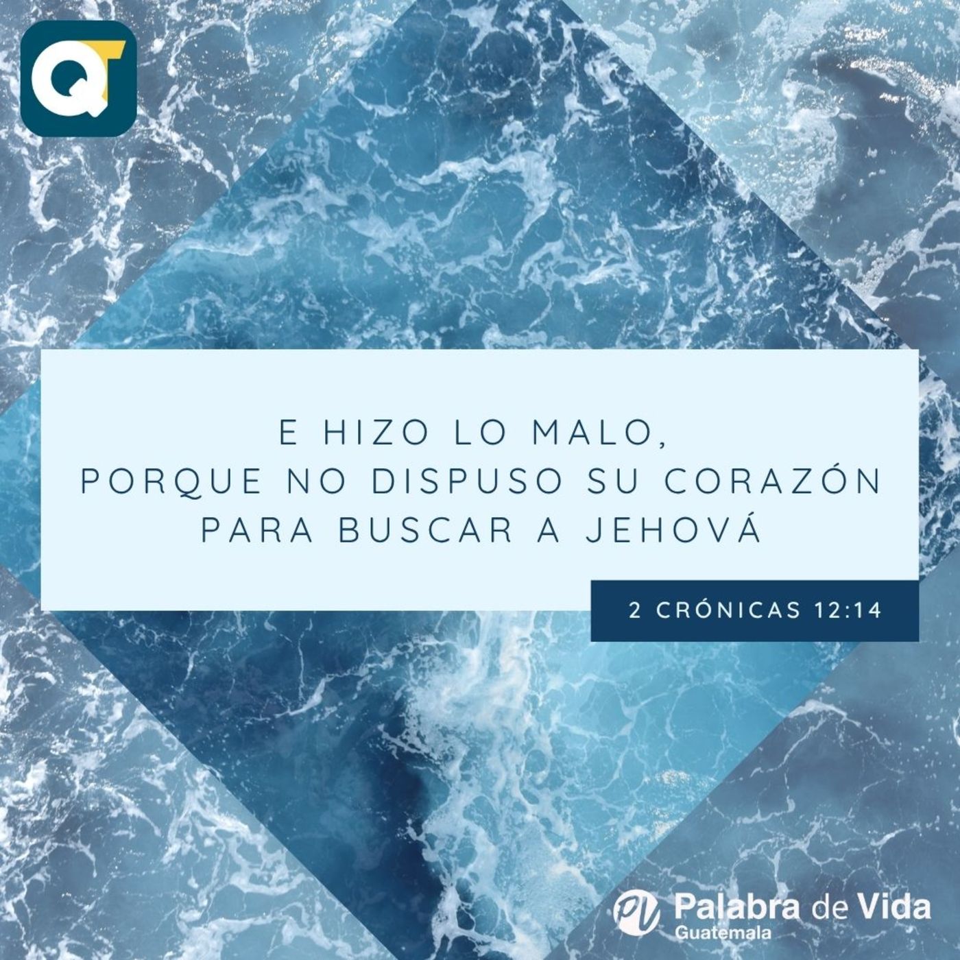 SÁBADO 26-07-2025 episode artwork
