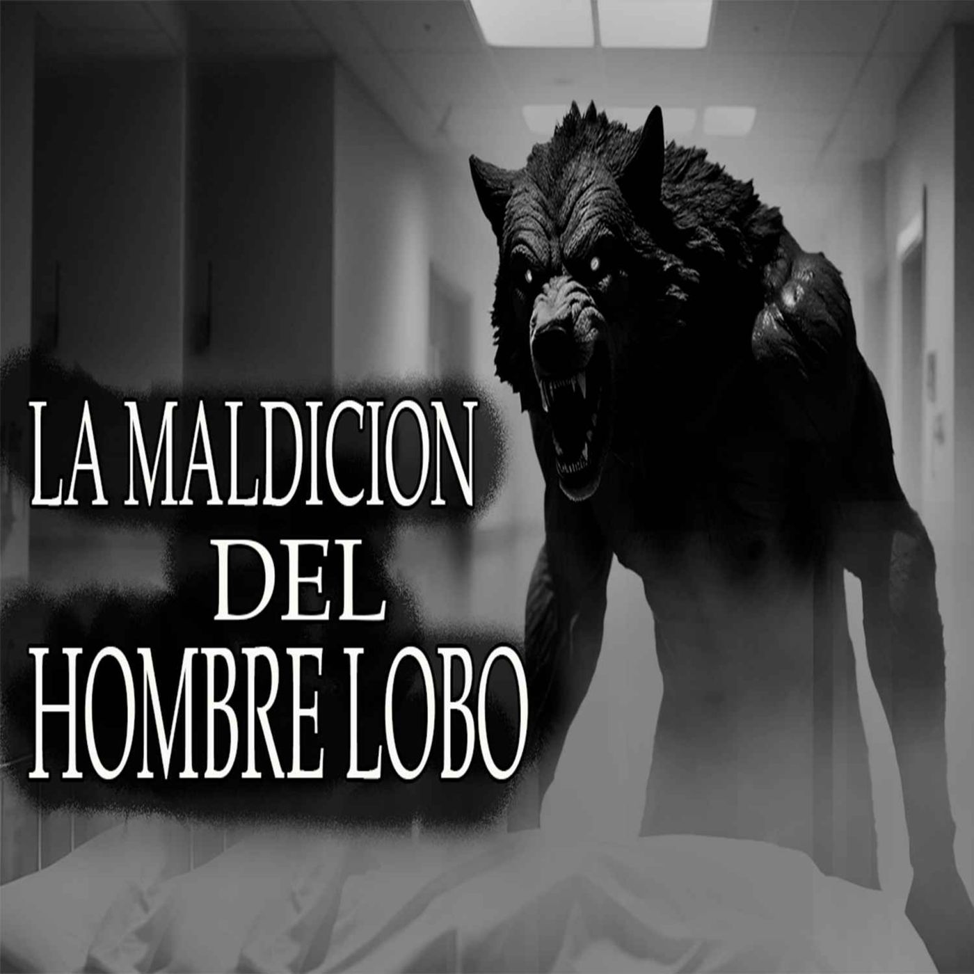 Historias de Terror PR