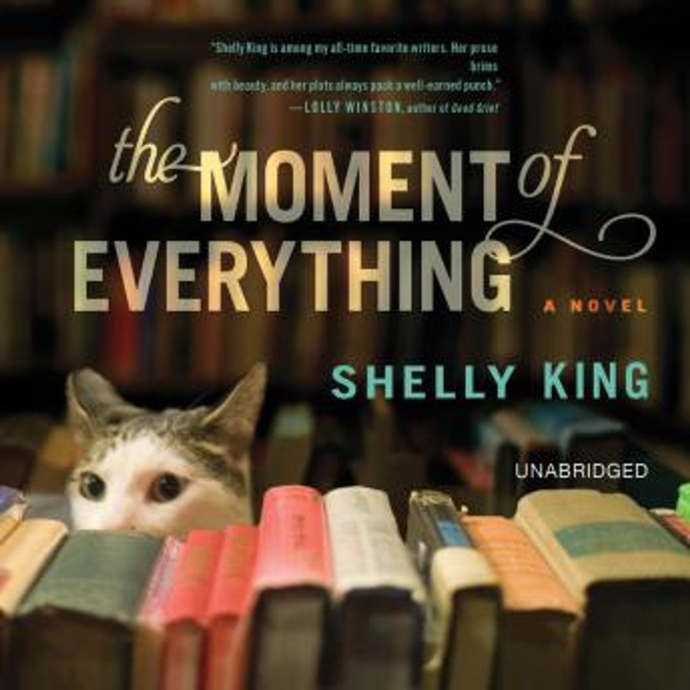 The Moment of Everything by Shelly King episode artwork