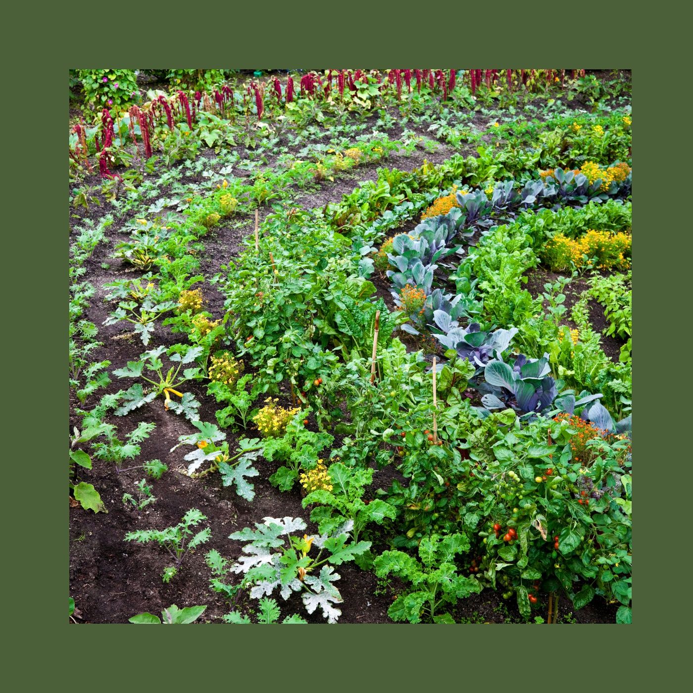 Giardino Futuro