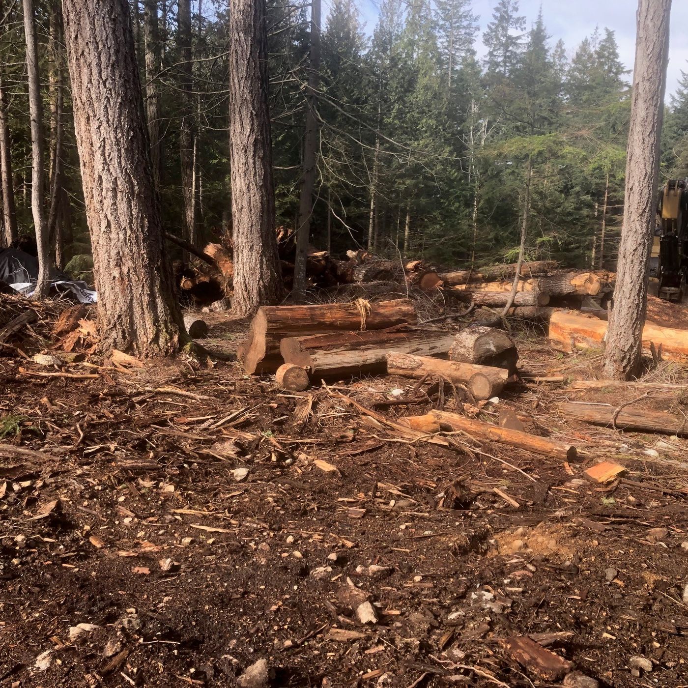 The Bowen Island Podcast