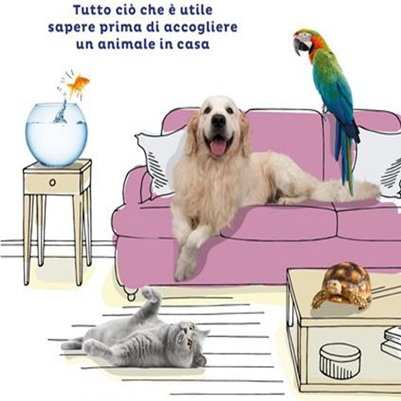 Francesca Garrone: prima di decidere se avere un cucciolo, meglio avere tutte le informazioni utili