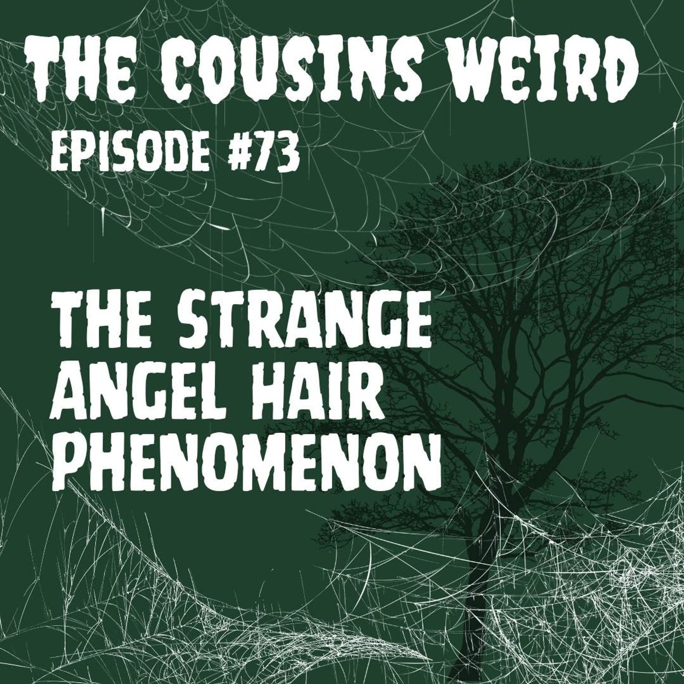 Episode #73 The Strange Angel Hair Phenomenon episode artwork