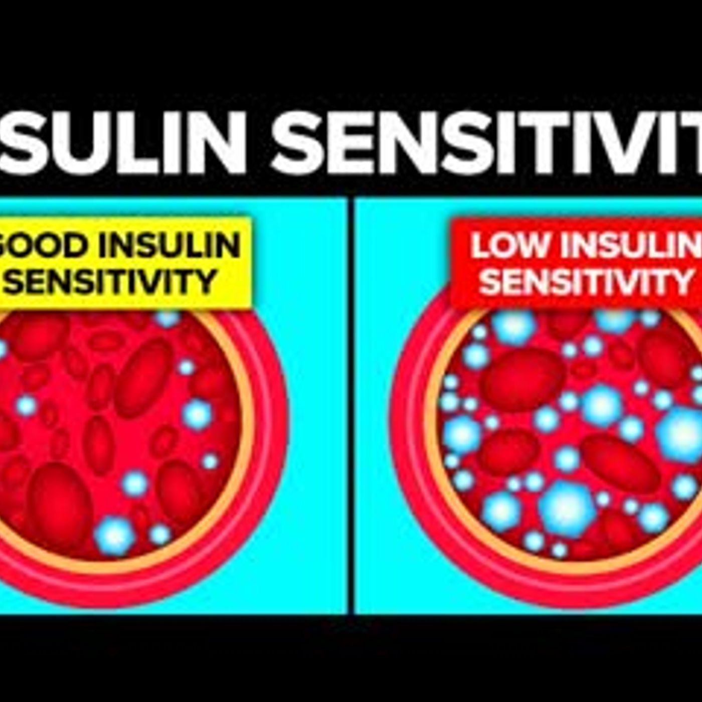 14 Natural Ways to Improve Your Insulin Sensitivity episode artwork