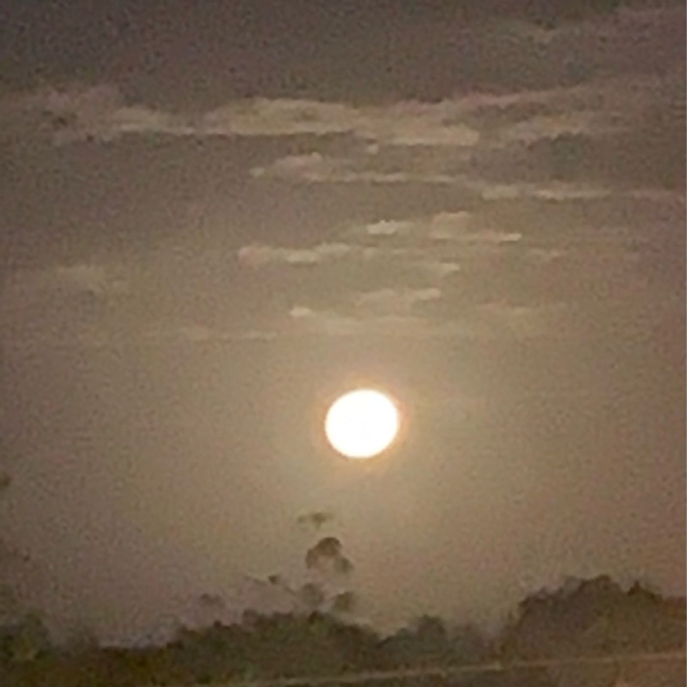 Episodio 522 - El podcast de Luismiguel Rosa manzanillo