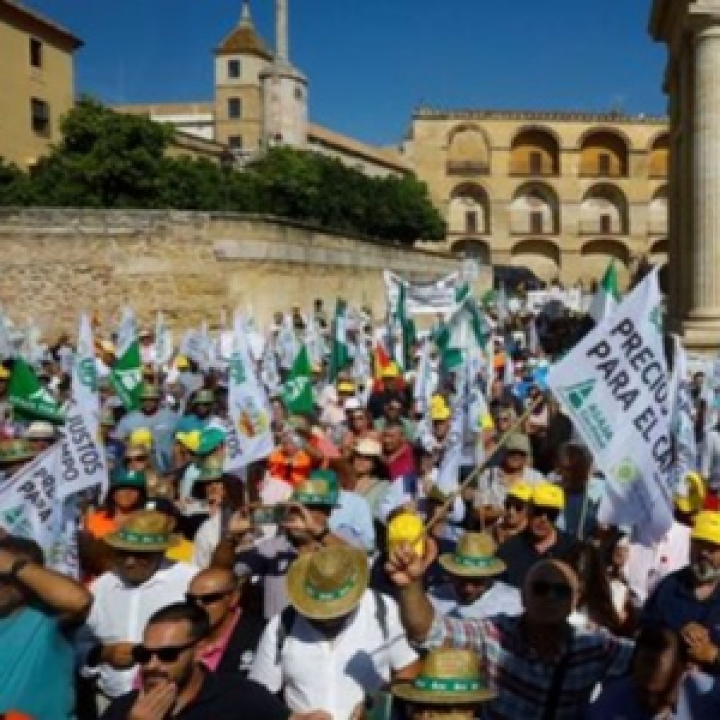 Andalucía Capital-Diego García Cabello