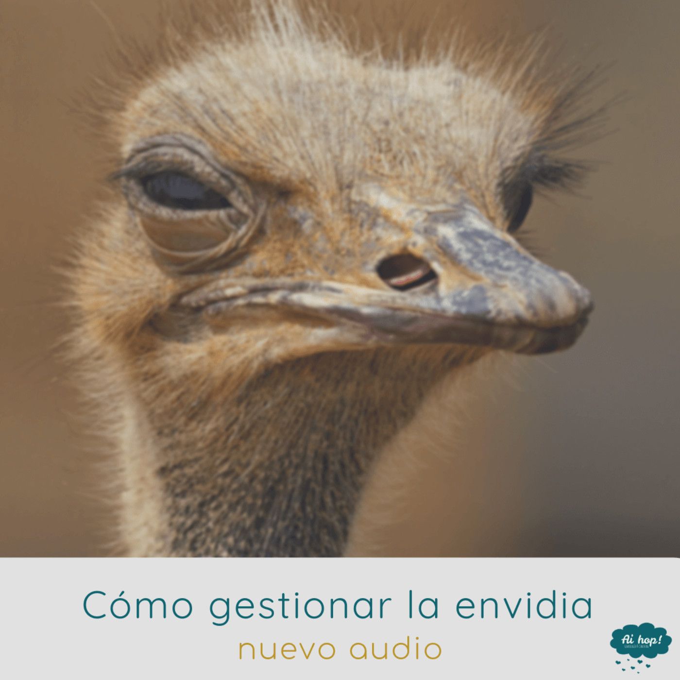Aihop coaching