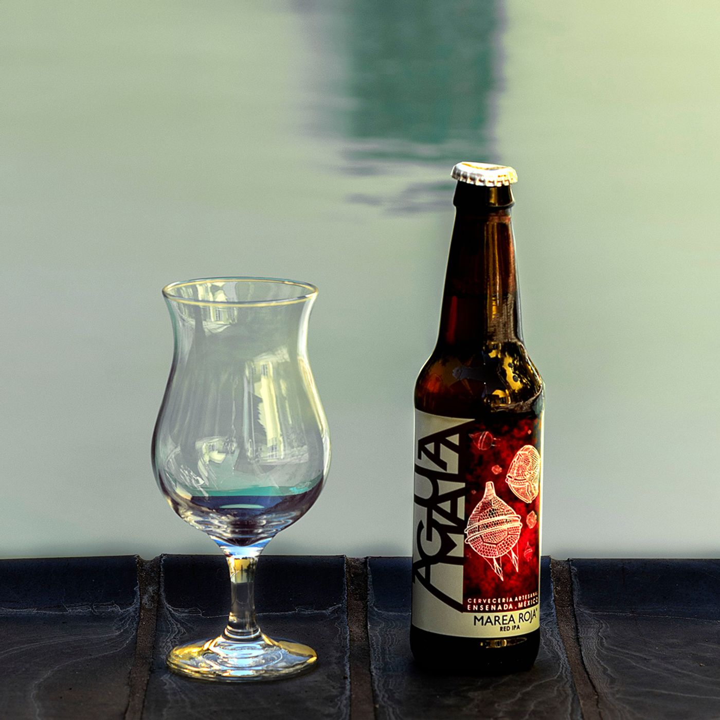 Cervezas Artesanales Méxicanas