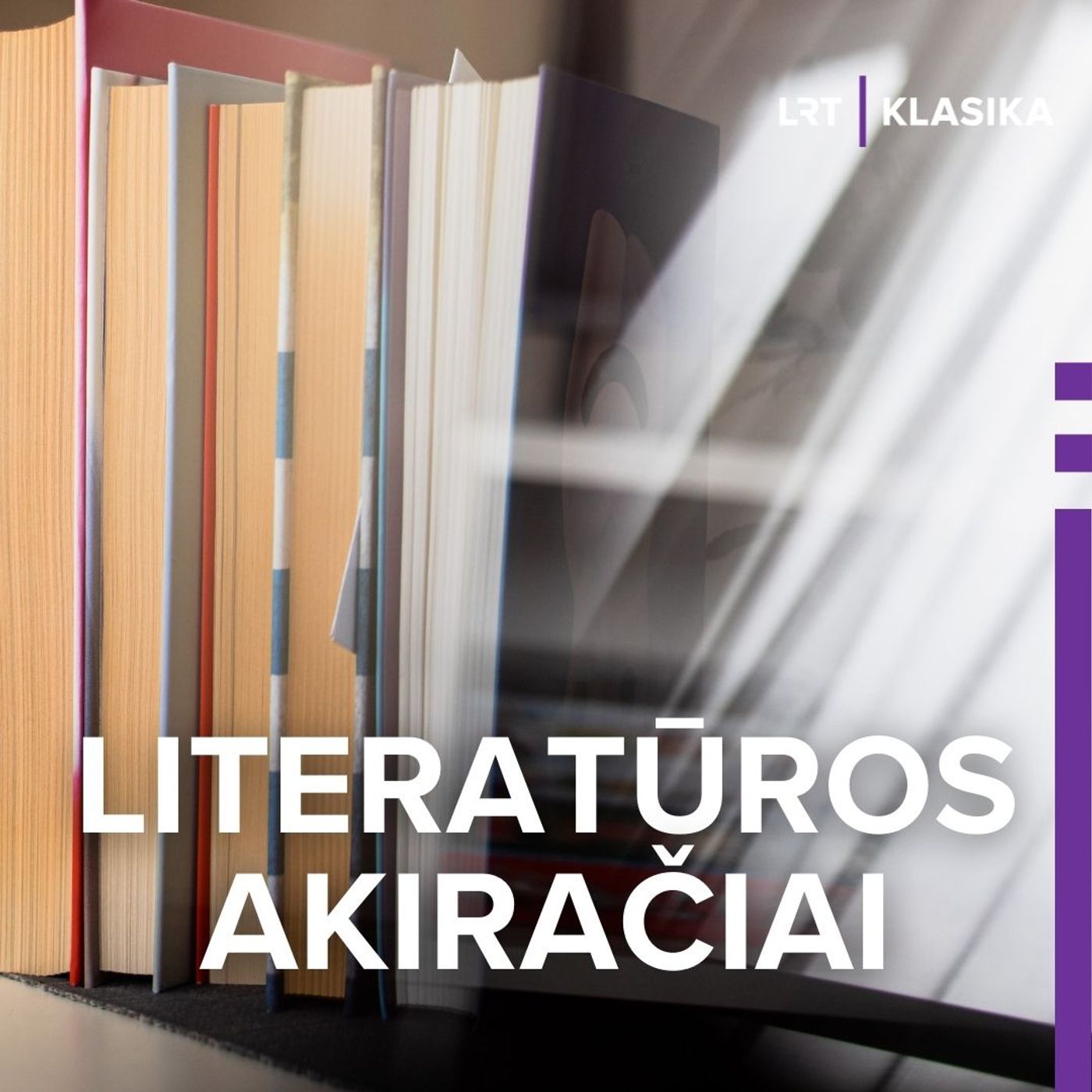 Literatūros akiračiai