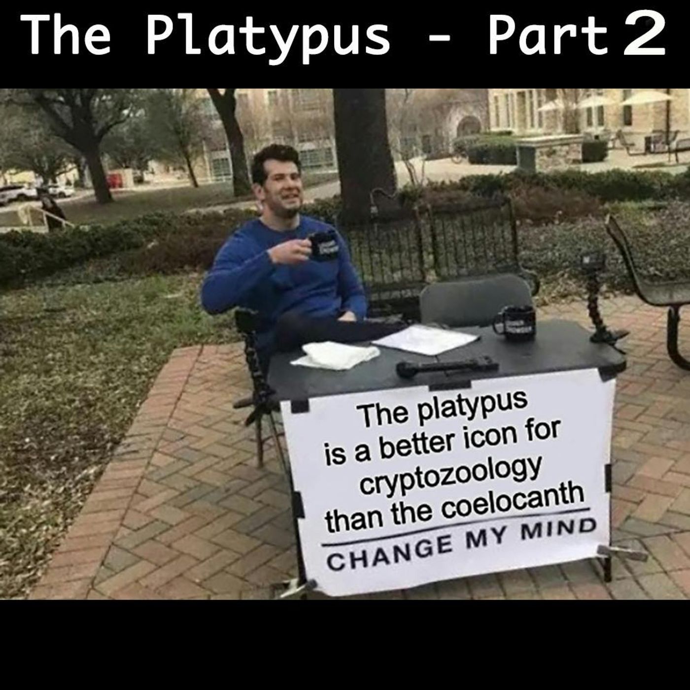 272 - The Peculiar Platypus Part 2