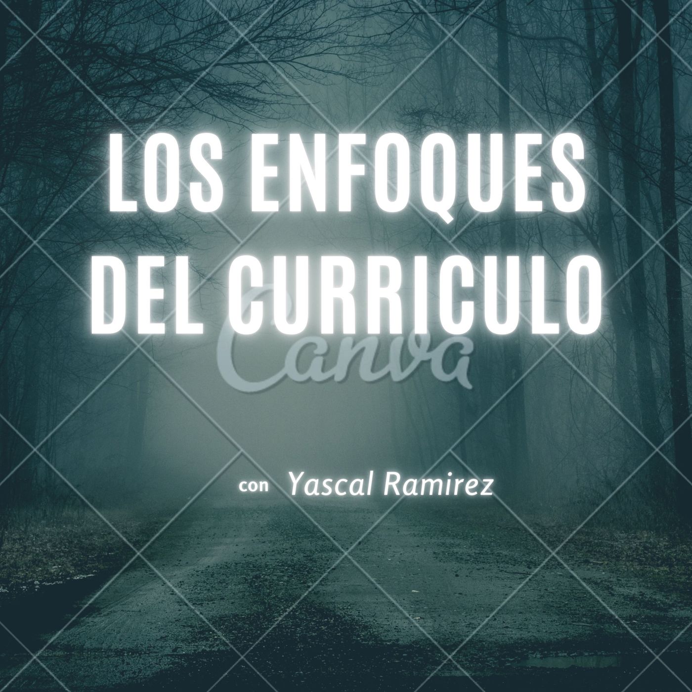 Los Enfoques del curriculo
